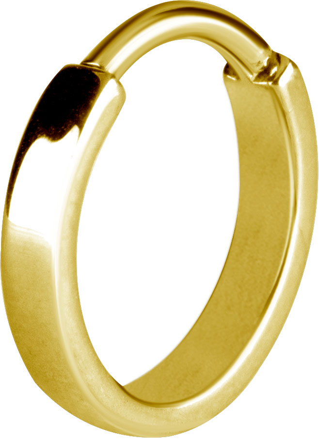 GD 316 HINGED RING (FLAT PROFILE) GD 316 HINGED RING (FLAT PROFILE)