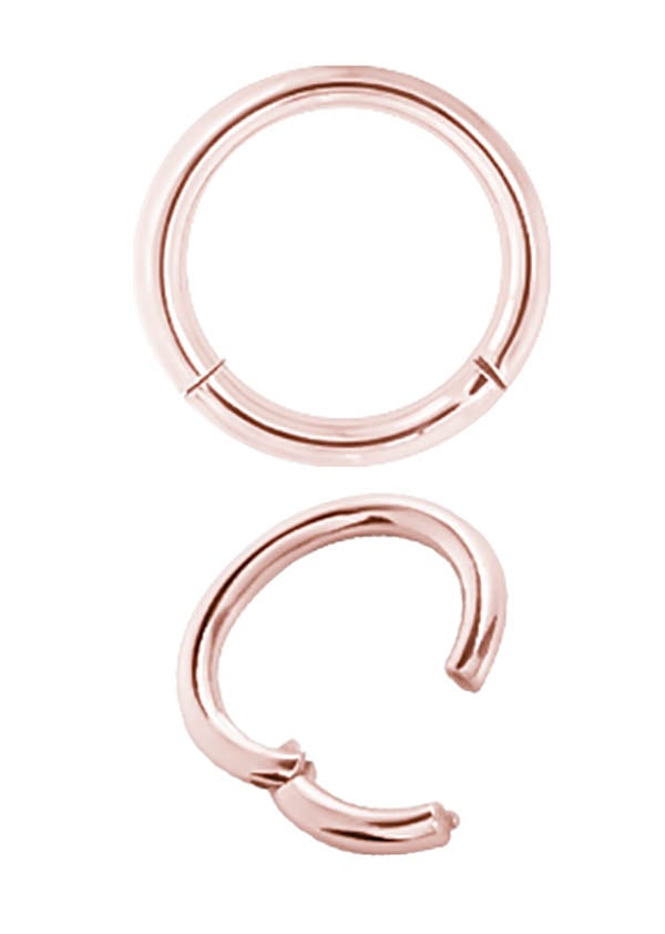 RG 316 CLICK SEGMENT RING
