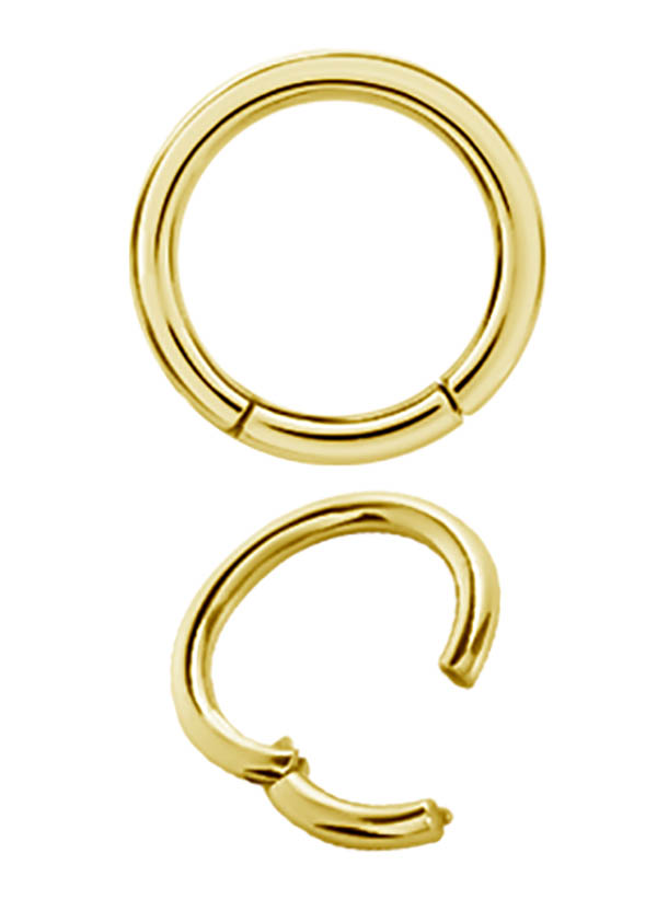 GD 316 CLICK SEGMENT RING 2,4x12mm