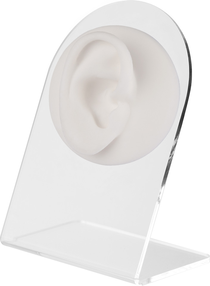 ESPOSITOR ANATOMICO BLANCO OREJA DERECHA