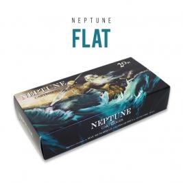 Neptune Flat