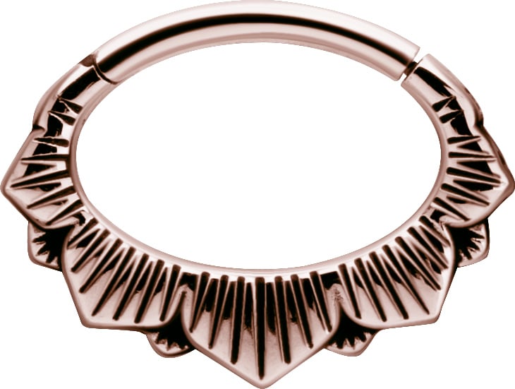 RG 316 HINGED SEPTUM & DAITH CLICKERS 1,2x6mm mod.7